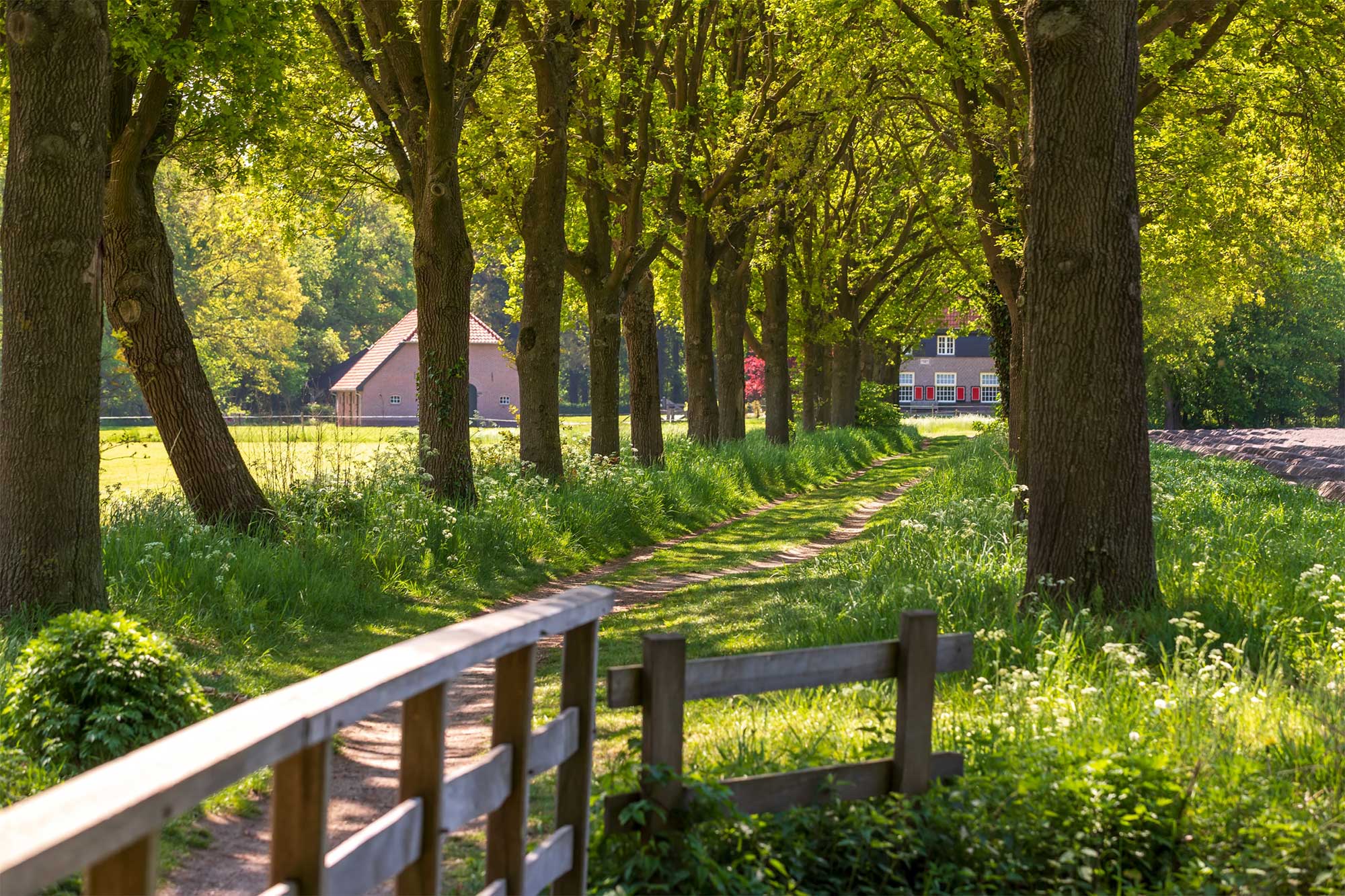 (c) Gemeenteberkelland.nl